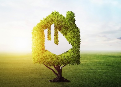 Dreamdrew estate projects